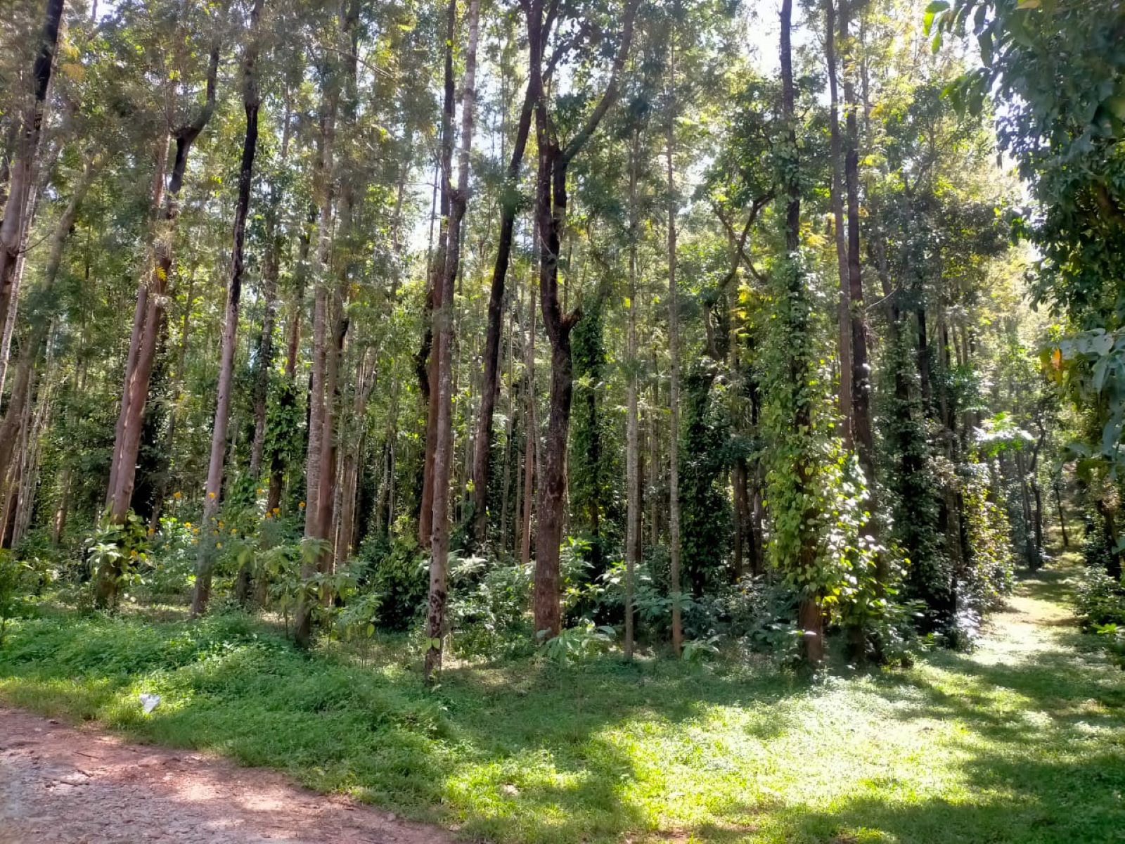 Estate View 1